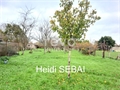 Photo numero 42082626 du bien GAR026529